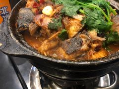 麻辣鲶鱼煲-川香煲(茅台路店)