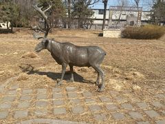 -北京麋鹿生态实验中心