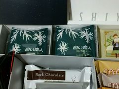 -中部国际机场