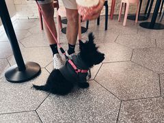 -Dal Cuore 达可芮冰淇淋(陕西北路店)