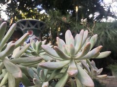 -绿雅居原生态农庄(小涌店)