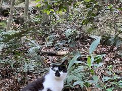 -普陀山慧济禅寺