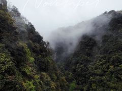 -碧峰峡风景区