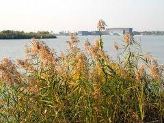 -漕湖湿地公园