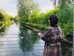 -长白岛森林公园