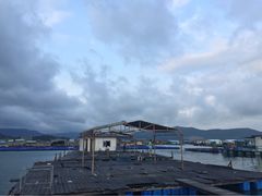 iphone_upload_pic-东山码头