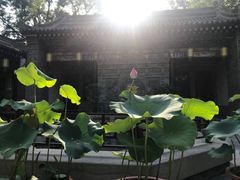 -湘子庙