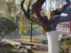 -舜耕山庄四时万和自助餐厅