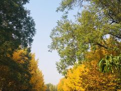 -玲珑塔公园