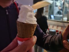 -富豪雪糕车流动点(尖沙咀店)