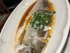 -松沪名灶·豆浆鱼头·新上海菜(飞航吾悦广场店)
