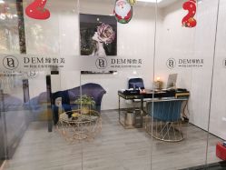 -DEM缔怡美科技美容