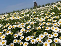 -漩门湾国家湿地公园