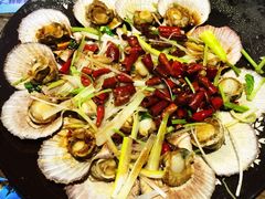 -鲁前海沿儿