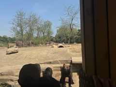 -沈阳森林动物园
