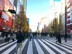 -秋叶原电器街