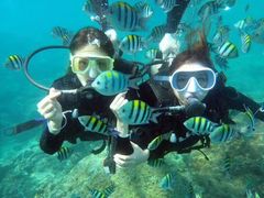 -海南分界洲岛旅游区