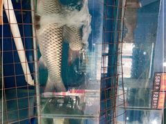 -生态脆鲩鱼庄(吉惠园店)