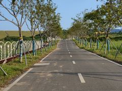 -光明小镇欢乐田园