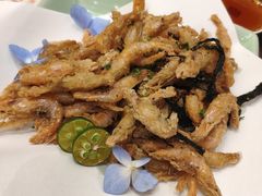 苔菜江白虾-宁波状元楼酒店(和义路店)