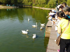-鄱阳湖国家湿地公园