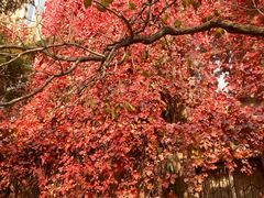 -辽宁大学(崇山校区)