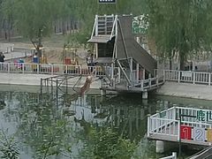 -北京鹿世界主题园