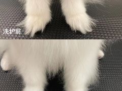 -comecome来吧宠物(奥克斯中心店)