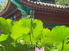 -宣武艺园