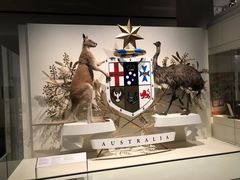 -墨尔本博物馆(Melbourne Museum)