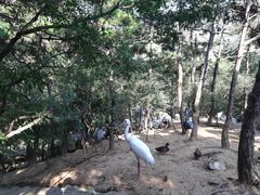 -燕塞湖鸟语林景区