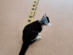 -宠颐生中康贝怡动物医院