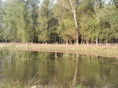 -东郊湿地公园