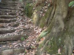 -大罗山风景区