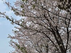-花博汇(知音花月夜)