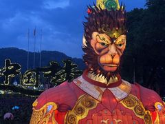 -东南花都花博园