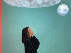 -金茂览秀城