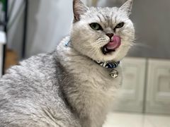 -Oasis绿洲银饰珍珠手作diy(壹方城店)