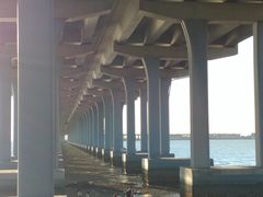 -宝安西湾红树林湿地公园