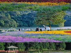 -广州市石门国家森林公园