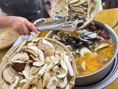 -菌极鲜野生菌火锅店(阳明祠店)