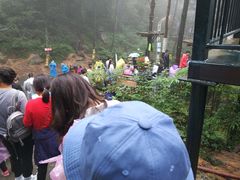 -梦幻奥陶纪景区