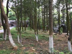 -象山森林公园