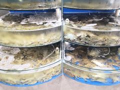 -蓝珊甄选海鲜自助·火锅大排档(近阿那亚店)