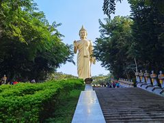 -西双版纳傣族园