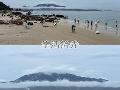 -杨梅坑