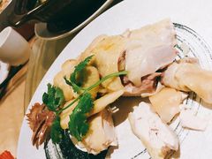 金牌翅爷鸡-翅爷家煲仔翅