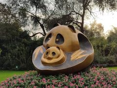 景点-成都大熊猫繁育研究基地