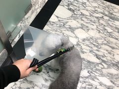 -申普宠物医院·心脏介入·心血管微创(总院)