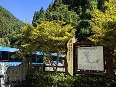 -刘伯温故里景区百丈漈